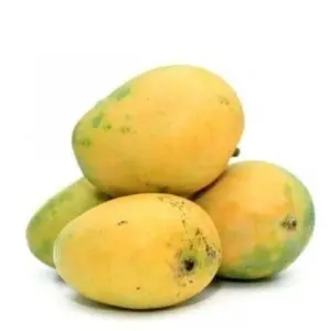 Neelam Mango 1 kg