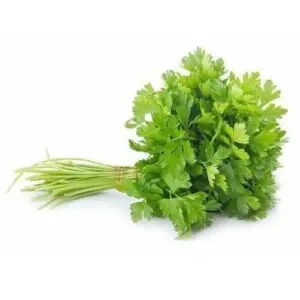 Coriander Malli Leaves 100 gm